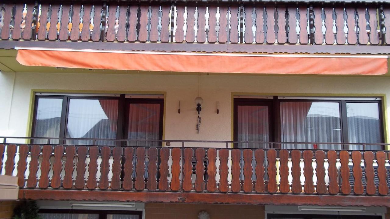 Ferienwohnung Keine Monteurvermietung Naehe Heidelberg Hockenheim Bds Anlage Philippsburg Bagian luar foto